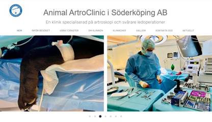 Animal ArtroClinic