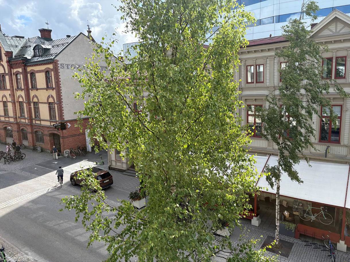 Storgatan 51, Centrum
