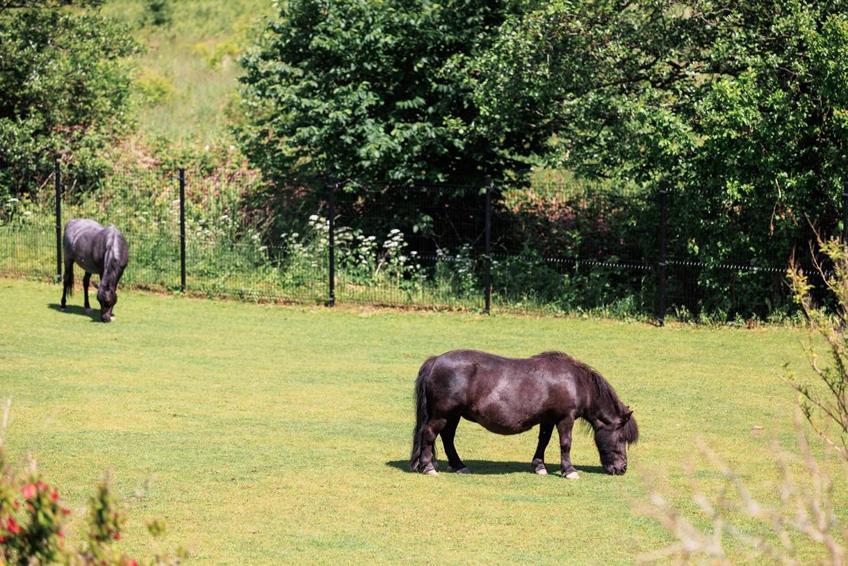 Påarpsvägen 11, Östra Ramlösa
