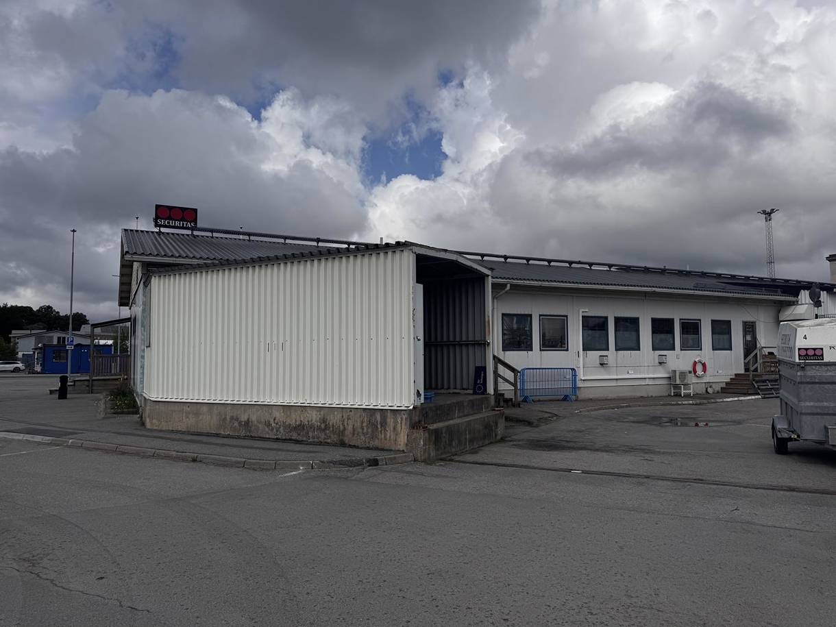 Palermogatan 3, Frihamnen