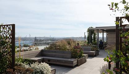 Mäster Samuelsgatan 17