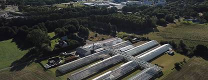 Ålyckan 165