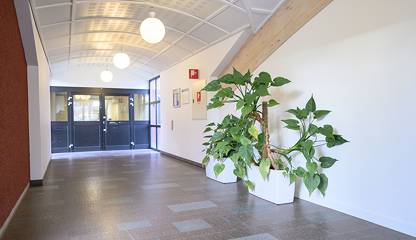 Rådhusgatan 17