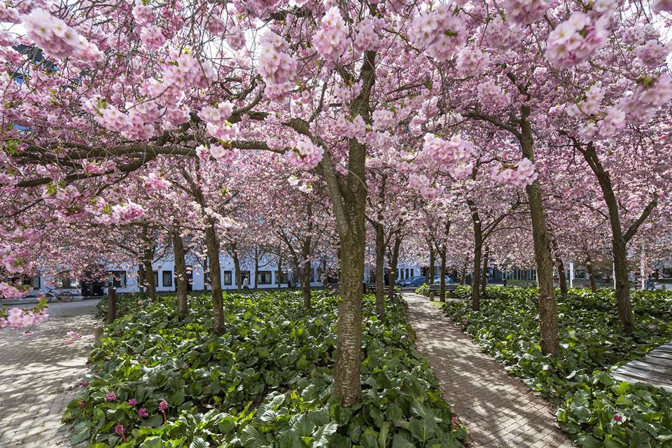 Kistagången 20, KISTA