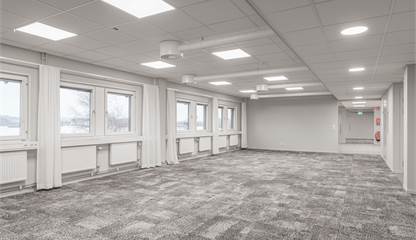 August Barks Gata 6 A