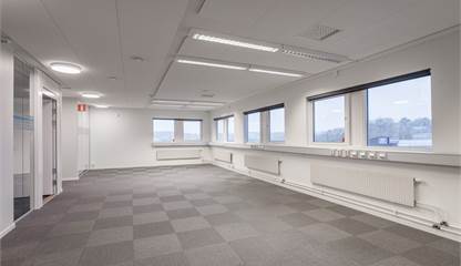 August Barks Gata 23 B