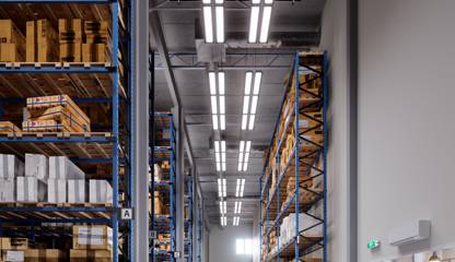 August barks gata 23