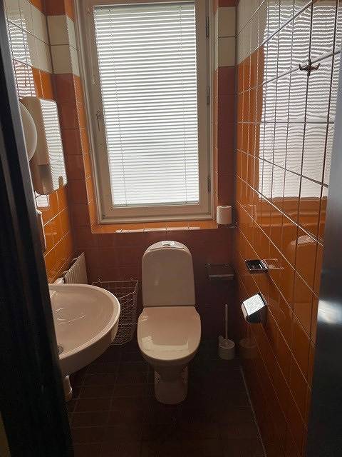 Careliigatan 8, Centrum