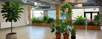 Tekla Thomassons gata 15