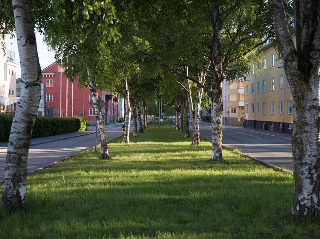 Salagatan 18, Uppsala