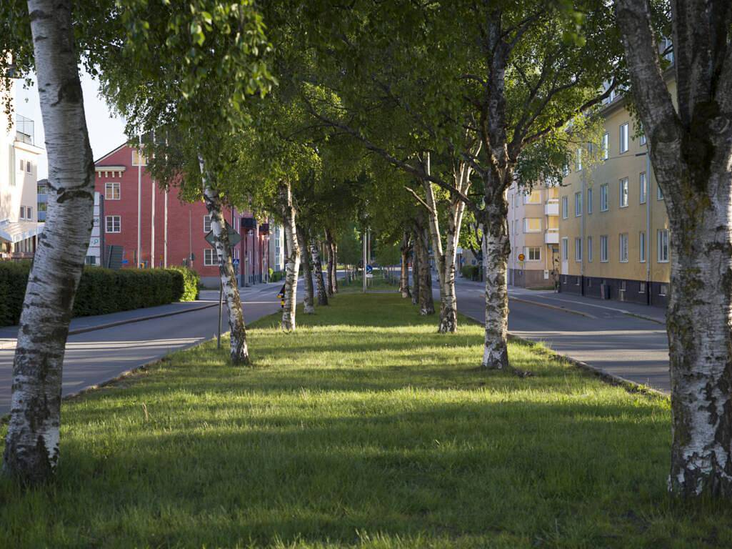 St Olofsgatan 33 A-B