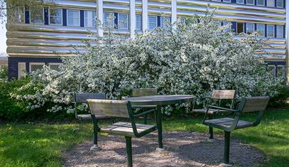 Kungsängsvägen 19