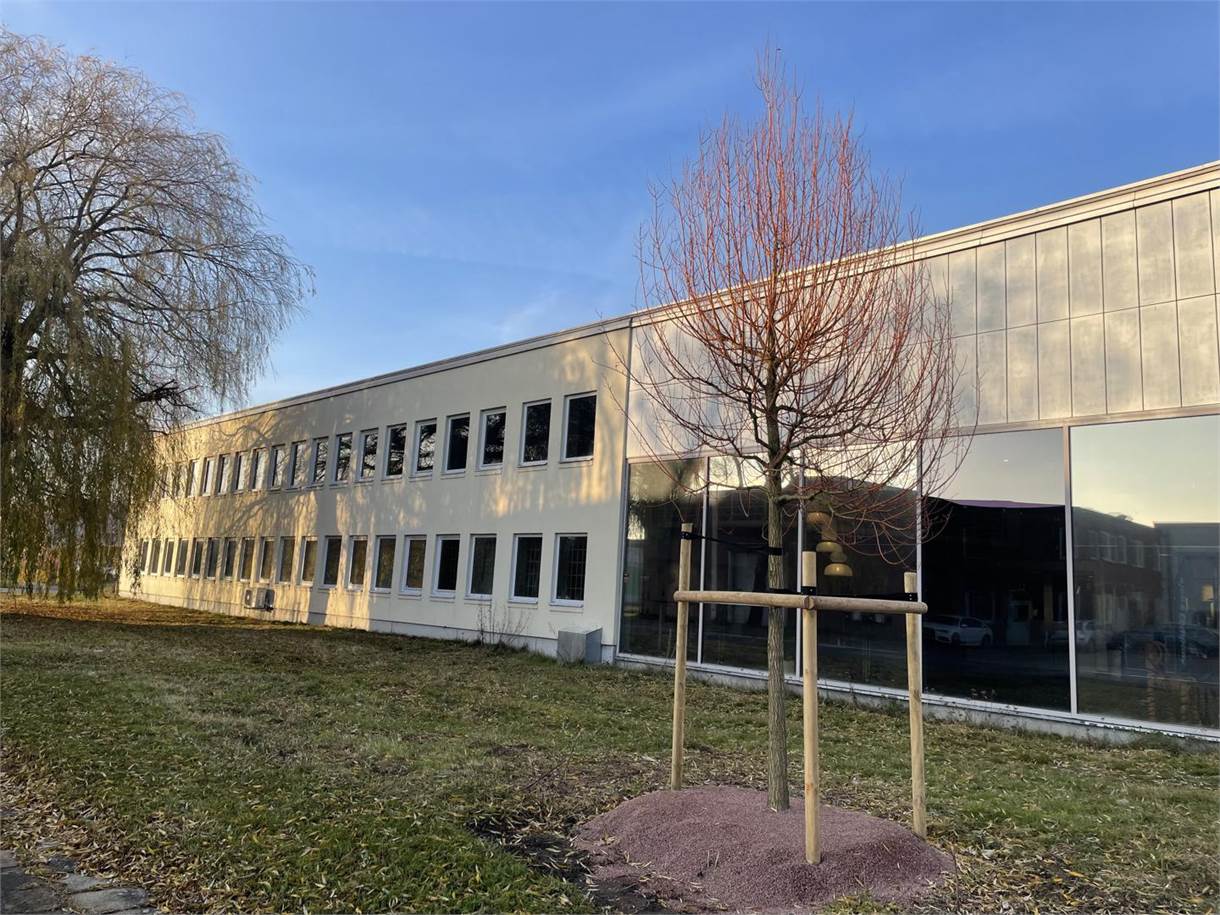 Tärnögatan 6, Östra Hamnen