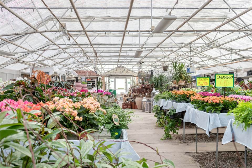 Ullstorp 1444, Tomelilla