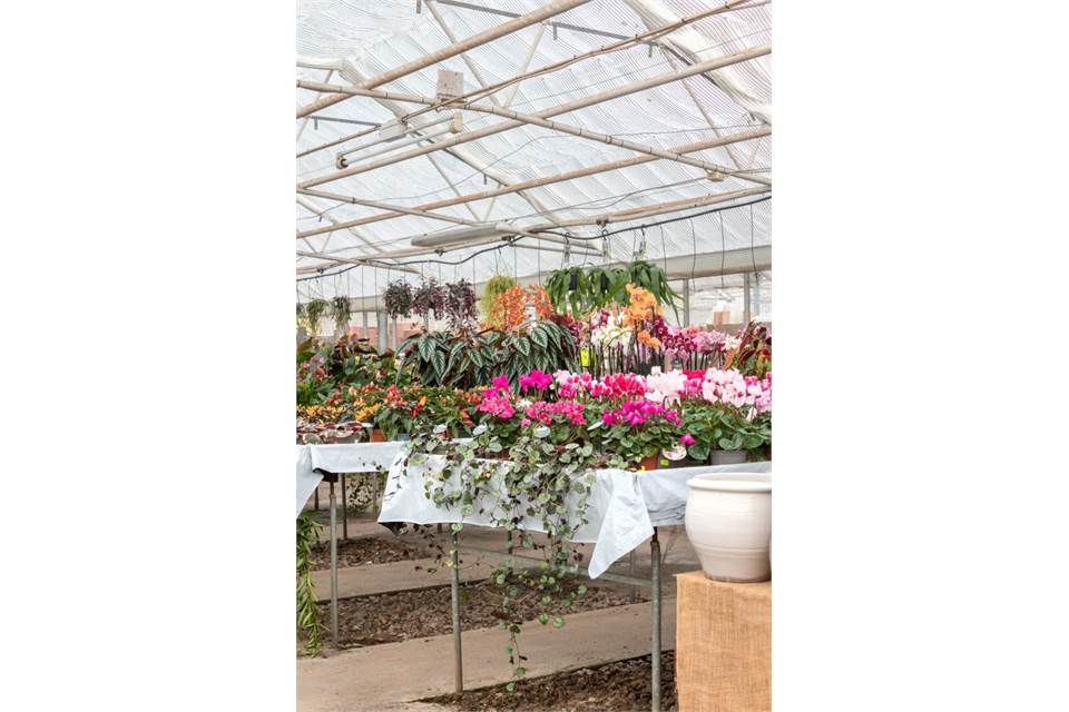 Ullstorp 1444, Tomelilla