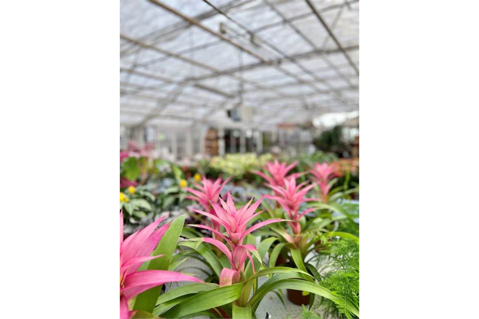 Ullstorp 1444, Tomelilla