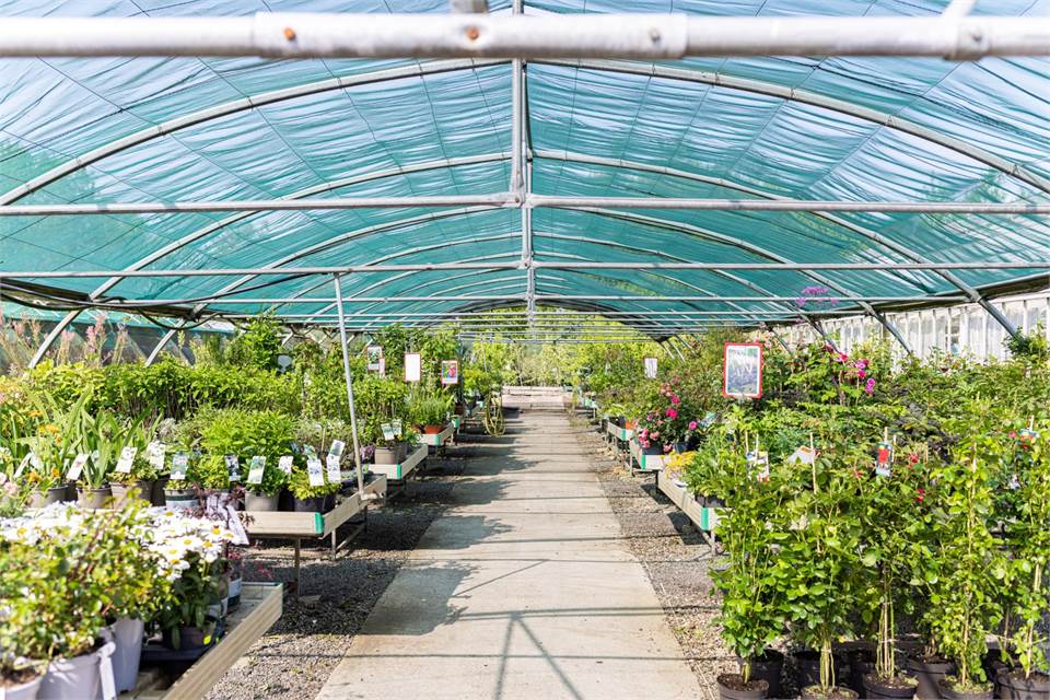 Ullstorp 1444, Tomelilla