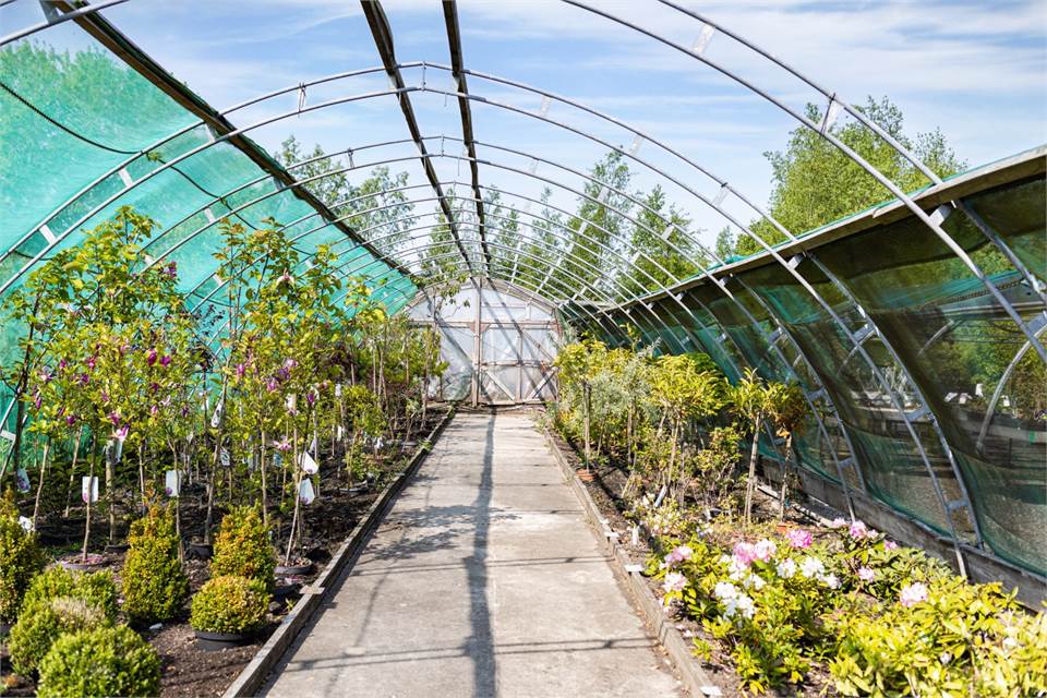 Ullstorp 1444, Tomelilla