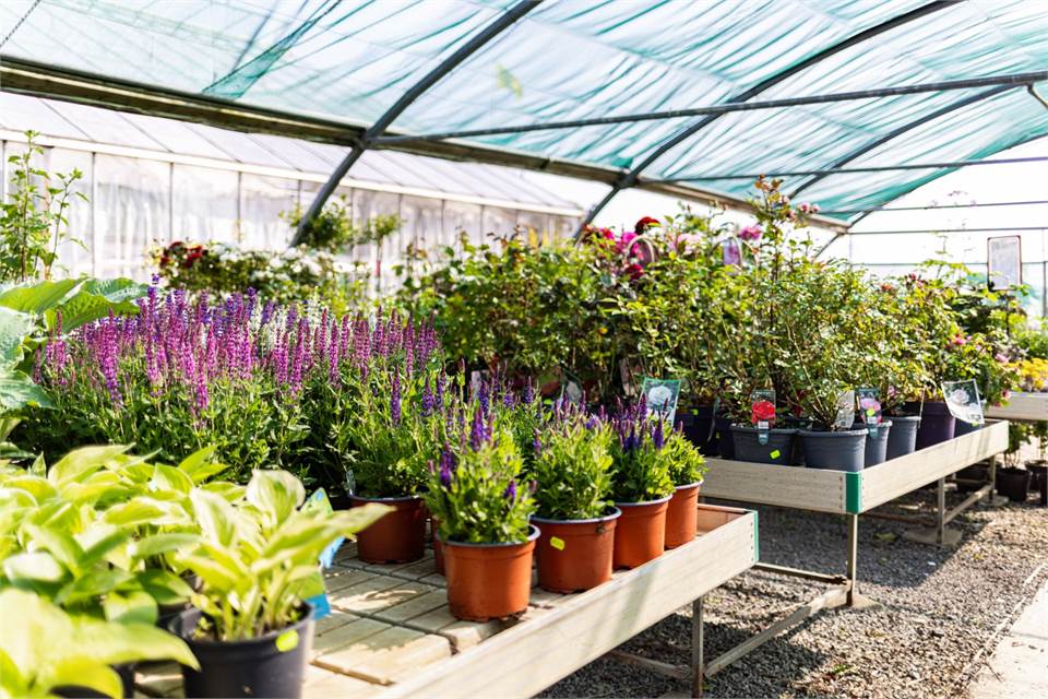 Ullstorp 1444, Tomelilla