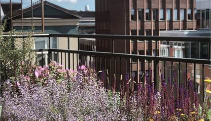 Takterrassen har vackra planterinagar runtom samt en av Stockholms bästa utsikter.