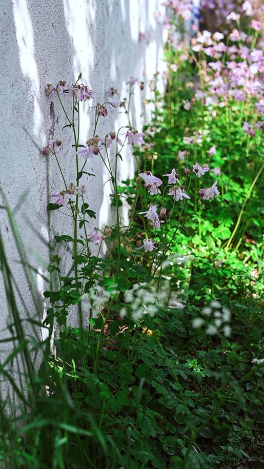 Sundre Västergårde 135, Gotland - Stor Sudret
