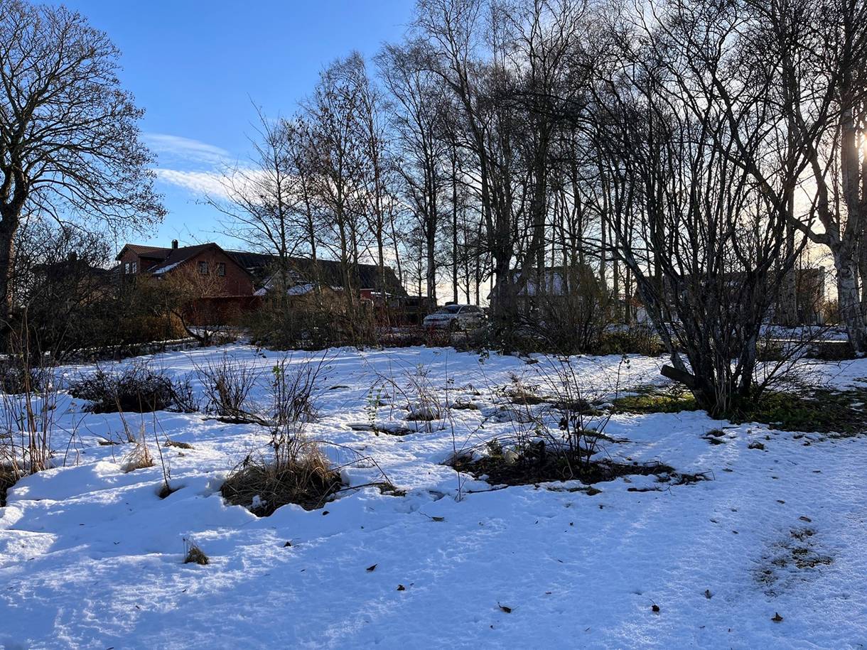 Ryavägen, Kvistofta (OB)