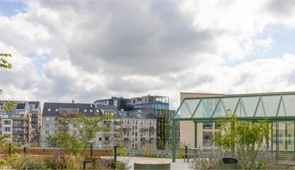 Terrass Pulpetgatan 28