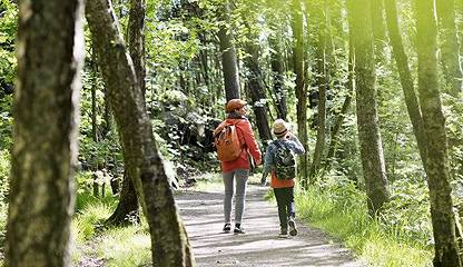 Ta en promenad i Änggårdsbergen på lunchen J A Wettergrens gata 5