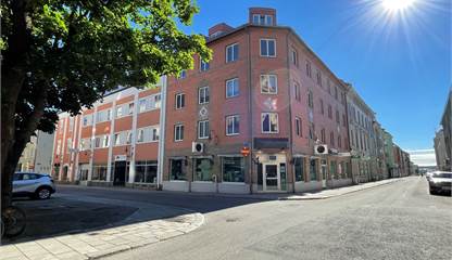 Fasadbild Aesculapius 10 Trädgårdsgatan 18