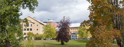 Soft Center västra sidan Fridhemsvägen 8