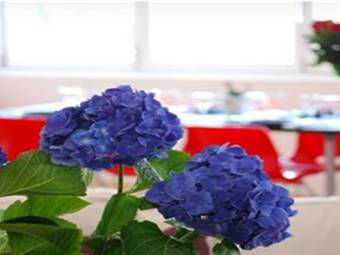 Företag till salu, Idylliskt pensionat, Kronoberg