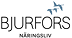 Logotyp för Bjurfors Näringsliv Göteborg