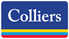 Logotyp för Colliers International Sweden AB